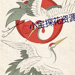 小寶探花資源