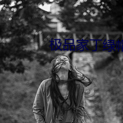 極品家丁綠帽