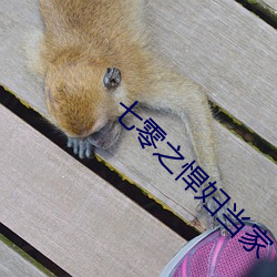 七零之悍妇当家