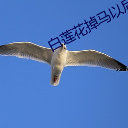 白莲花掉马以后
