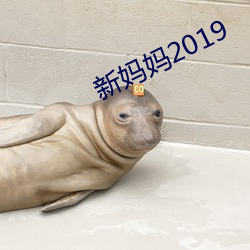 新妈妈2019