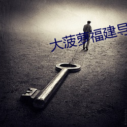 大(dà)菠萝福(fú)建导航(háng)引导入口v2