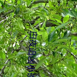 金年会 | 诚信至上金字招牌