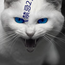 《禁忌2》电影完整版