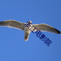 浙江電影院