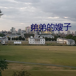 弟弟的嫂子 （晦暗）