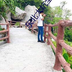 东北大坑全部目录