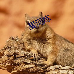 星河煉