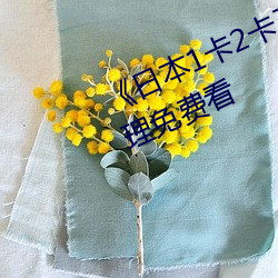 《日(rì)本1卡2卡三卡4卡(kǎ)5卡》日韩伦理免费看