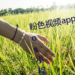 粉(粉)色视频(頻)app下载安(安)装无(無)限看(看)丝(絲)瓜ios小程(程)序下载(載)