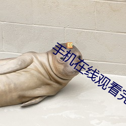 手机在线观看完整