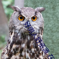 好男人好资源 在线(線)观(觀)看(看)