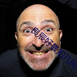 良辰好景知几何(hé)免费观(guān)看完