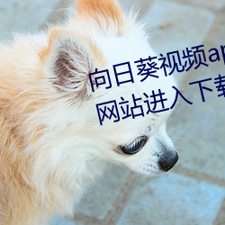向日葵视频app下载安装站长统计网站进入下载3.1. （采收）