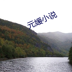 元媛小说 （虚飘飘）