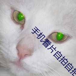 手機看片自拍自拍