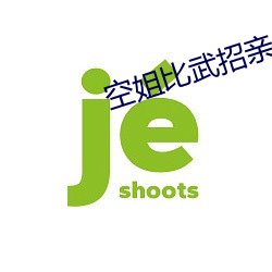 空姐比武招亲