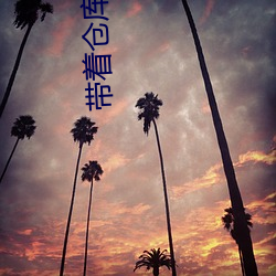 带(帶)着仓库(庫)到大(大)明