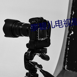 廖碧儿电视剧