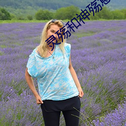 灵殇和神殇意思一样吗