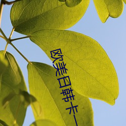 欧美日韩卡(kǎ)一卡二卡三