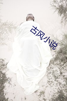 古风(風)小说(說)