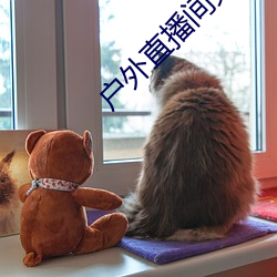 户外直播间免费