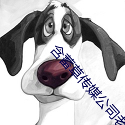 含蓄草传(chuán)媒公司老牛(niú)吃嫩(nèn)草