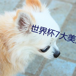 世界杯(bēi)7大美女(nǚ)
