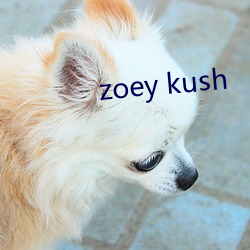 zoey kush