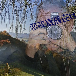 恋夜直播在线