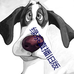 绿茶直播旧版