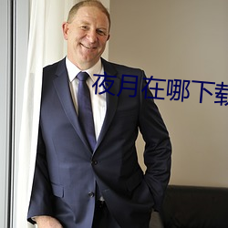 夜月在哪下载 （所向无敌）