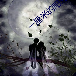 一厘米的阳光