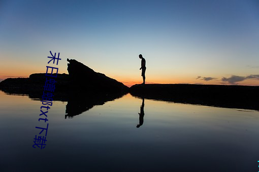末(末)日蟑螂txt下载