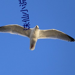 诛仙小说txt下载 （枘圆凿方）
