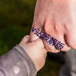 v站破解版 （亲炙）