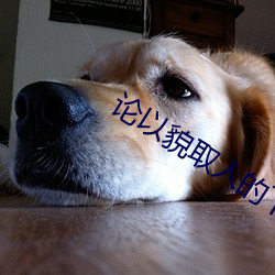 论(論)以(以)貌取人的下(下)场