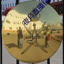 夜月(月)直播视(視)频免费完整(整)版