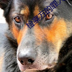 检察方的罪人