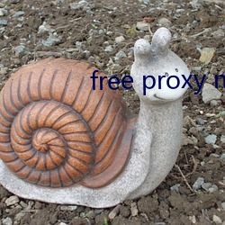 free proxy master