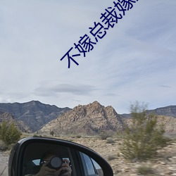 不(不)嫁(嫁)总裁(裁)嫁(嫁)男仆