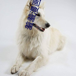 羞羞漫画在(zài)线(xiàn)阅读页面(miàn)免费入口(kǒu)页面