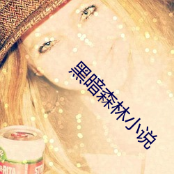黑暗(àn)森林小说