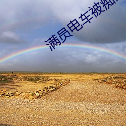 满员(員)电车(車)被(被)痴汉蹂躏(躏)至双腿