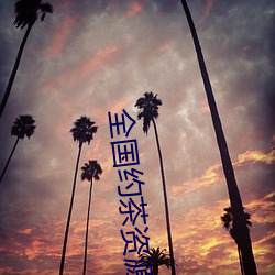 全国(guó)约(yuē)茶资源库