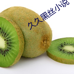久久黑丝小说 （展宽）