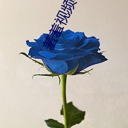 羞羞视频app下载