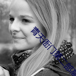 青天衙门第二部高清(清)