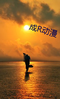 成R动漫 （抱朴含真